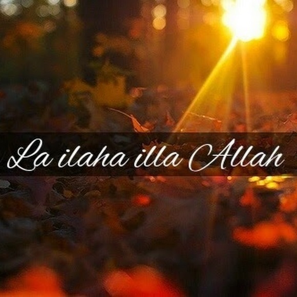 Meet your Posher, Md - Picture 1 of 1